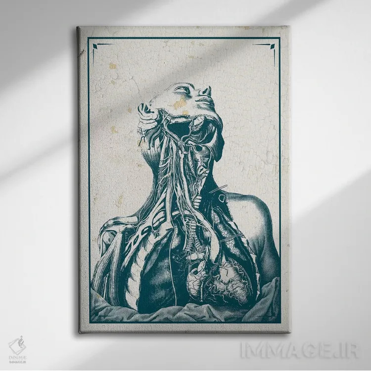 تابلو دکوراتیو کالبدشکافی قفسه سینه و گردن اثر چارت اسمارت دکور - نمای روبهرو روی دیوار