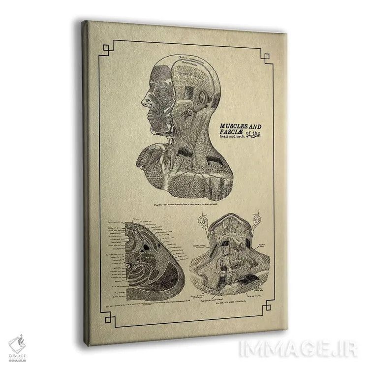 تابلو دکوراتیو نیام سر و گردن اثر چارت اسمارت دکور - نمای پرسپکتیو محصول