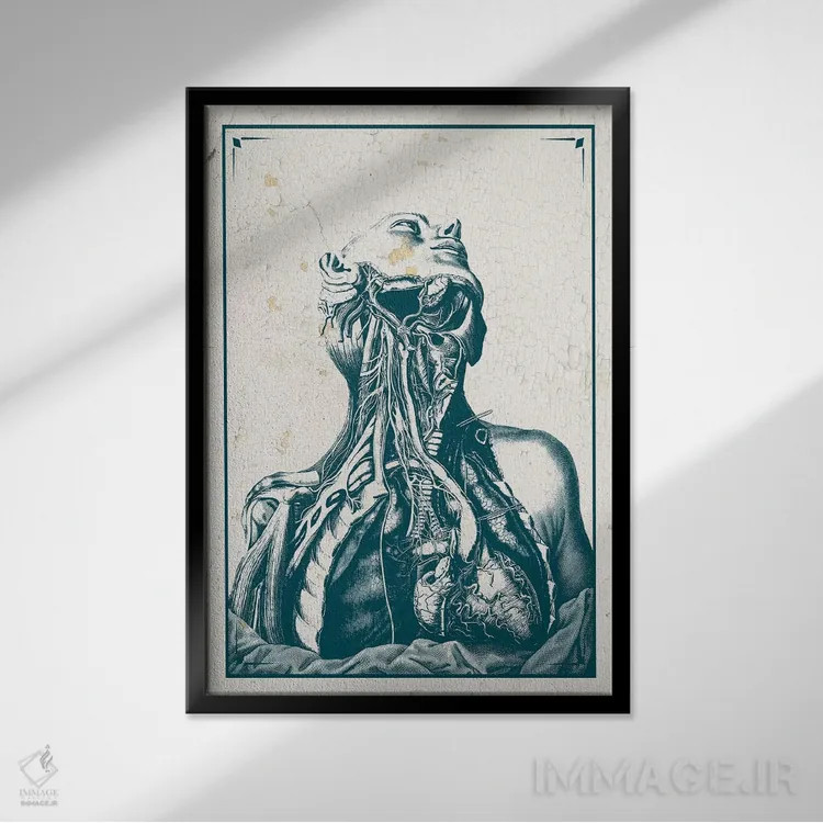 تابلو دکوراتیو کالبدشکافی قفسه سینه و گردن اثر چارت اسمارت دکور - نمای قابدار مشکی