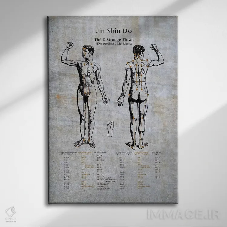 تابلو دکوراتیو جین شین دو: نمودار مریباور هشت جریان عجیب اثر چارت اسمارت دکور - نمای روبهرو روی دیوار