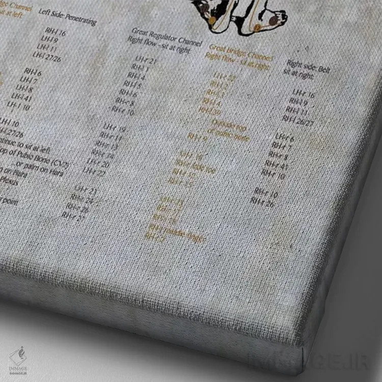 تابلو دکوراتیو جین شین دو: نمودار مریباور هشت جریان عجیب اثر چارت اسمارت دکور - نمای نزدیک بافت بوم