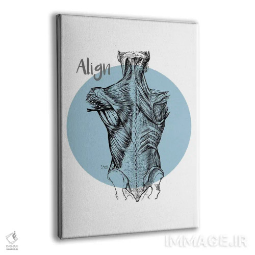 تابلو دکوراتیو تراز عضلات کمر اثر چارت اسمارت دکور - نمای پرسپکتیو محصول