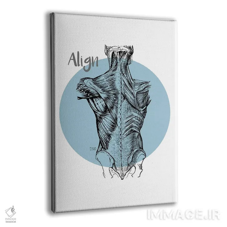 تابلو دکوراتیو تراز عضلات کمر اثر چارت اسمارت دکور - نمای پرسپکتیو محصول