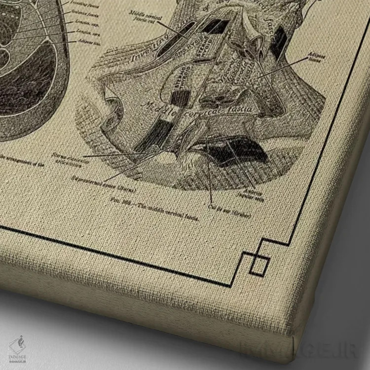 تابلو دکوراتیو نیام سر و گردن اثر چارت اسمارت دکور - نمای نزدیک بافت بوم