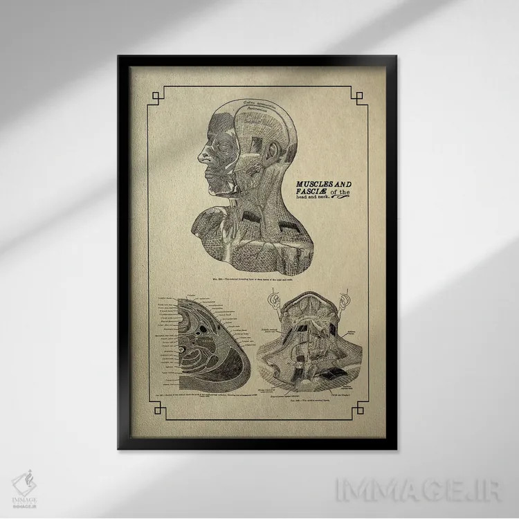 تابلو دکوراتیو نیام سر و گردن اثر چارت اسمارت دکور - نمای قابدار مشکی