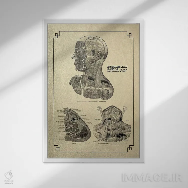 تابلو دکوراتیو نیام سر و گردن اثر چارت اسمارت دکور - نمای قابدار سفید