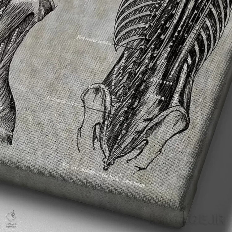 تابلو دکوراتیو عضلات کمر و گردن ۲ اثر چارت اسمارت دکور - نمای نزدیک بافت بوم