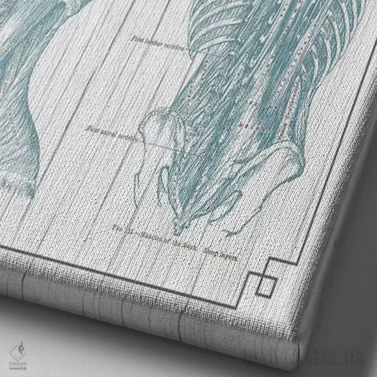 تابلو دکوراتیو عضلات کمر و گردن ۳ اثر چارت اسمارت دکور - نمای نزدیک بافت بوم