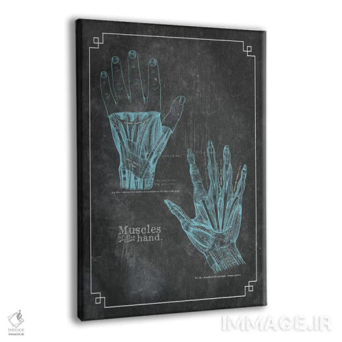 تابلو دکوراتیو عضلات دست اثر چارت اسمارت دکور - نمای پرسپکتیو محصول