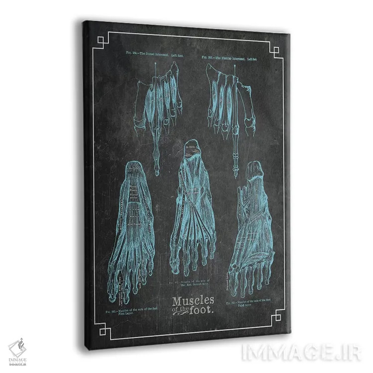 تابلو دکوراتیو عضلات پا اثر چارت اسمارت دکور - نمای پرسپکتیو محصول