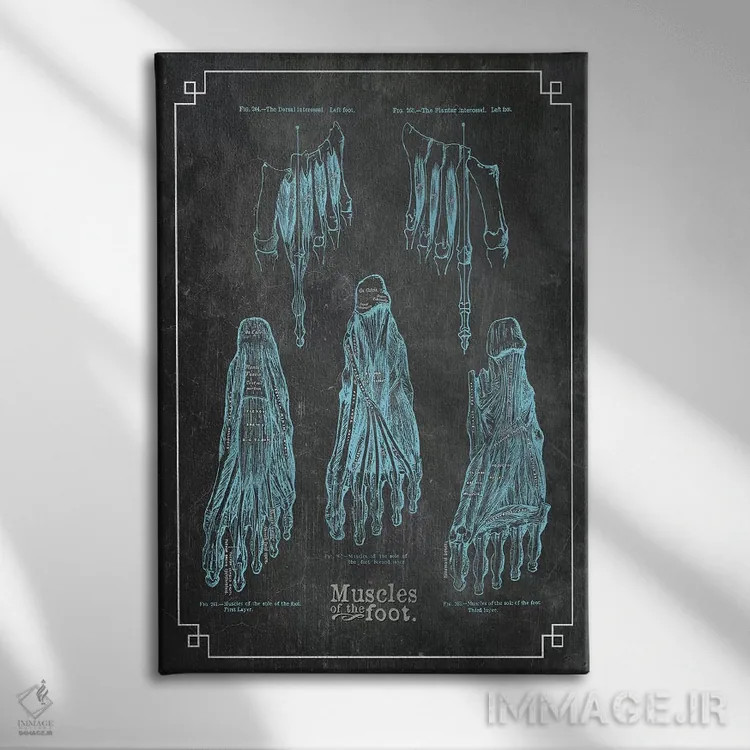 تابلو دکوراتیو عضلات پا اثر چارت اسمارت دکور - نمای روبهرو روی دیوار