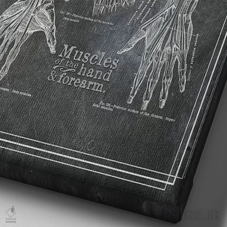 تابلو دکوراتیو عضلات ساعد و دست اثر چارت اسمارت دکور - نمای نزدیک بافت بوم