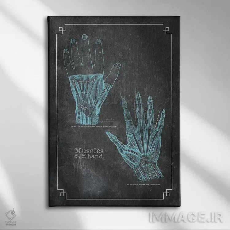 تابلو دکوراتیو عضلات دست اثر چارت اسمارت دکور - نمای روبهرو روی دیوار