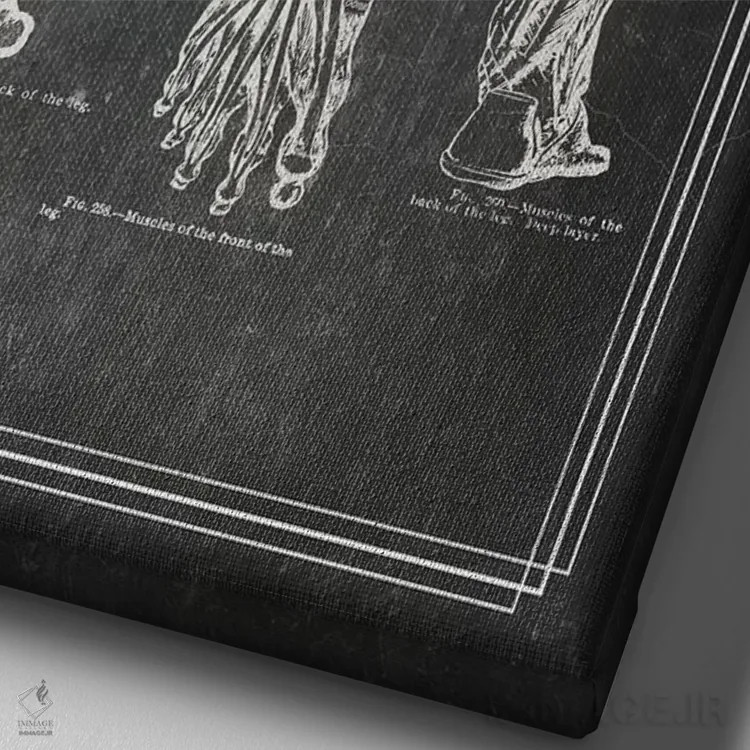 تابلو دکوراتیو عضلات ساق پا اثر چارت اسمارت دکور - نمای نزدیک بافت بوم