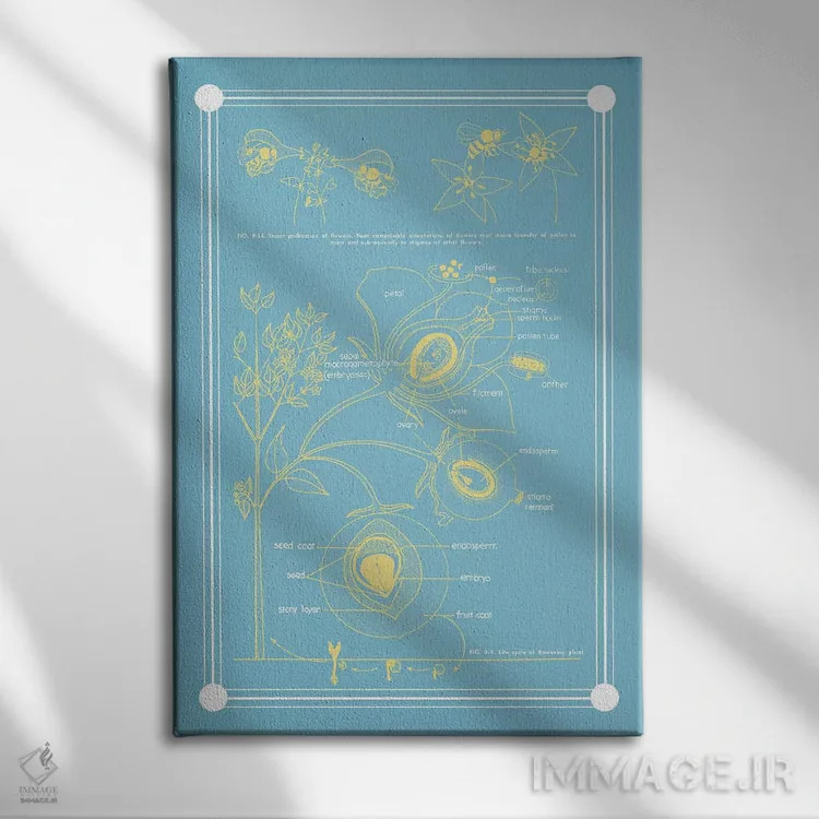 تابلو دکوراتیو آناتومی گیاه گلدار اثر چارت اسمارت دکور - نمای روبهرو روی دیوار