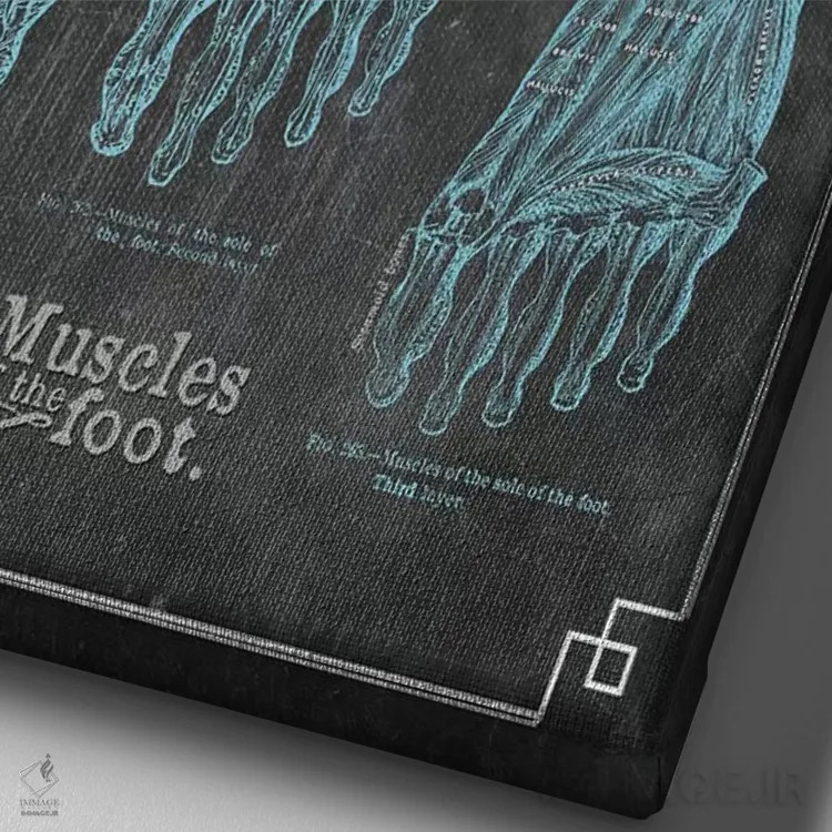 تابلو دکوراتیو عضلات پا اثر چارت اسمارت دکور - نمای نزدیک بافت بوم