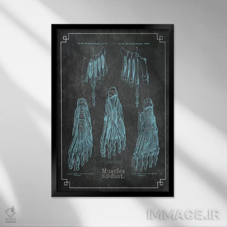 تابلو دکوراتیو عضلات پا اثر چارت اسمارت دکور - نمای قابدار مشکی