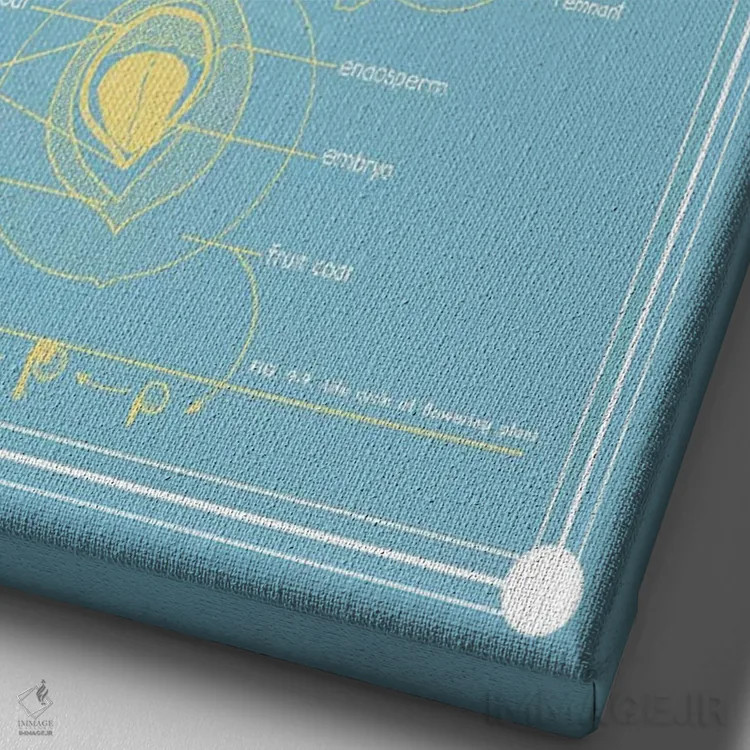 تابلو دکوراتیو آناتومی گیاه گلدار اثر چارت اسمارت دکور - نمای نزدیک بافت بوم