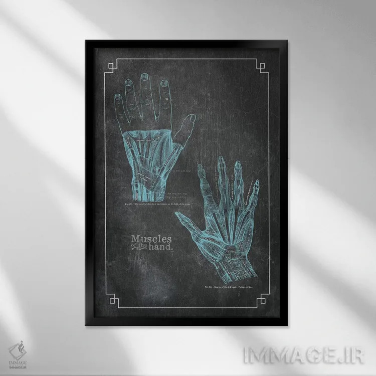 تابلو دکوراتیو عضلات دست اثر چارت اسمارت دکور - نمای قابدار مشکی