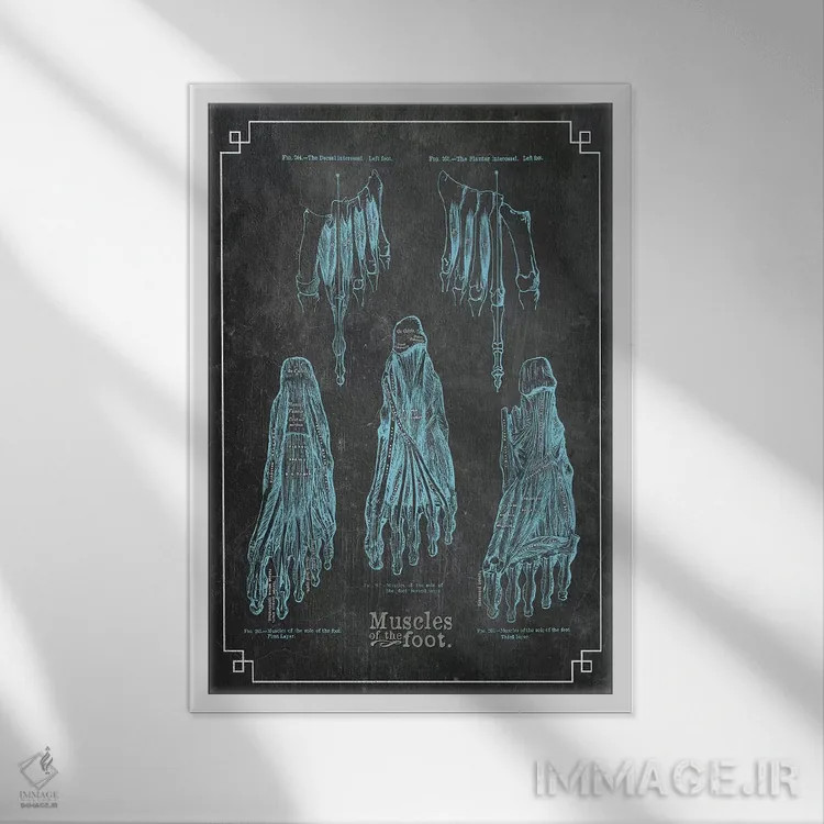 تابلو دکوراتیو عضلات پا اثر چارت اسمارت دکور - نمای قابدار سفید