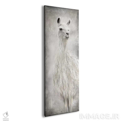 تابلو دکوراتیو لولو شترلاما اثر مارلا ری - نمای پرسپکتیو محصول