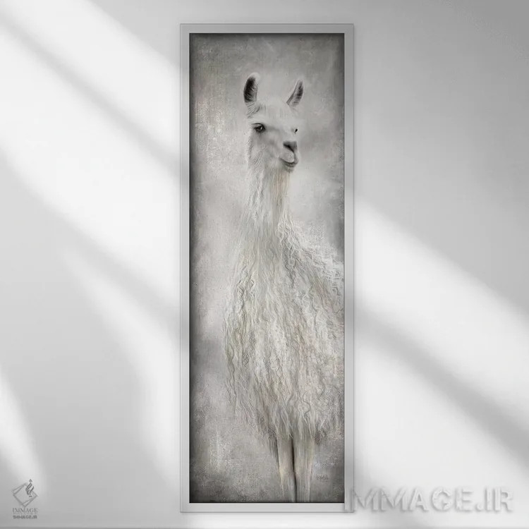 تابلو دکوراتیو لولو شترلاما اثر مارلا ری - نمای قابدار سفید