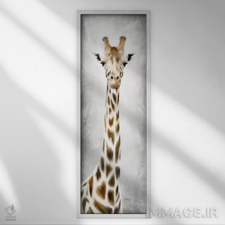 تابلو دکوراتیو جری زرافه اثر مارلا ری - نمای قابدار سفید