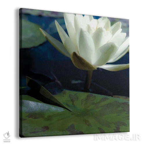 تابلو دکوراتیو نیلوفرهای آبی II اثر جنیفر بروسار - نمای پرسپکتیو محصول