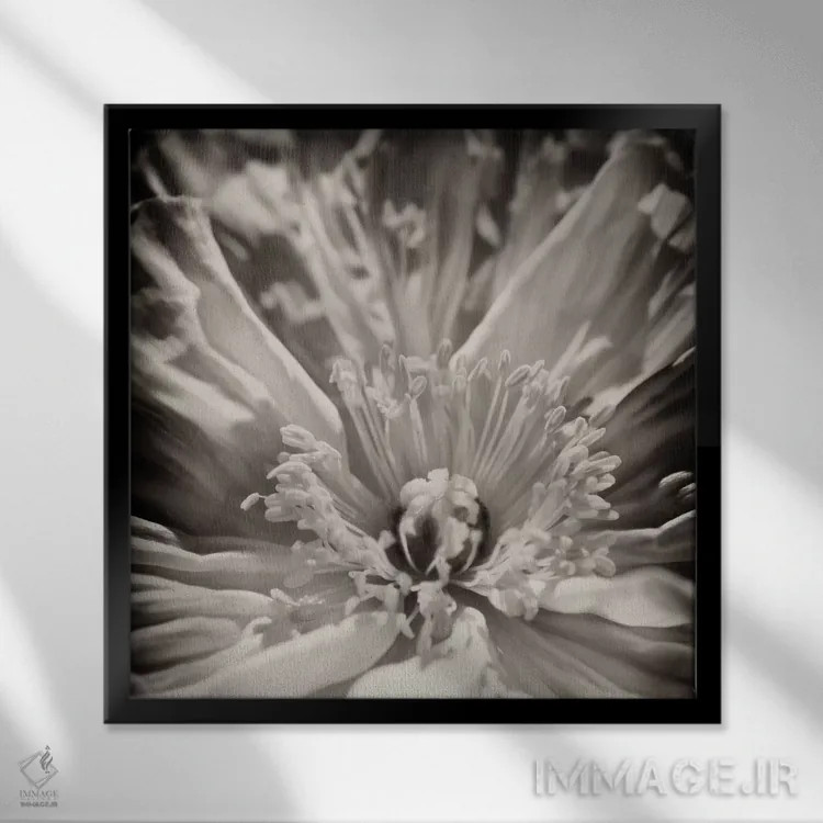 تابلو دکوراتیو زیبایی درونی اثر جنیفر بروسار - نمای قابدار مشکی