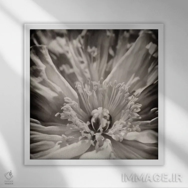 تابلو دکوراتیو زیبایی درونی اثر جنیفر بروسار - نمای قابدار سفید