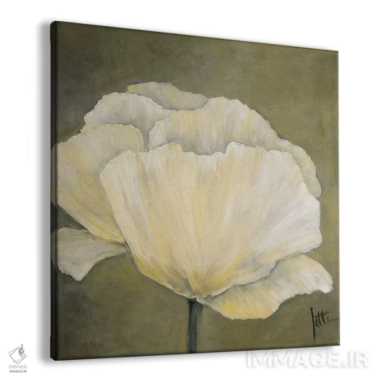 تابلو دکوراتیو شقایق سفید ۱ اثر جتی روزبوم - نمای پرسپکتیو محصول