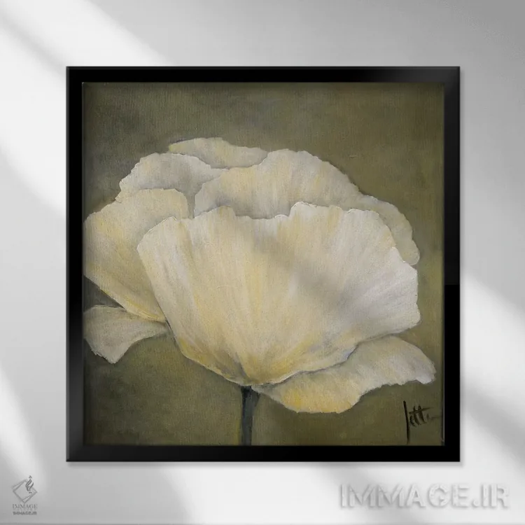 تابلو دکوراتیو شقایق سفید ۱ اثر جتی روزبوم - نمای قابدار مشکی