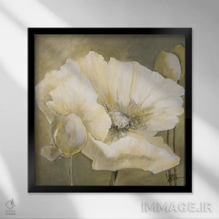 تابلو دکوراتیو شقایق سفید ۲ اثر جتی روزبوم - نمای قابدار مشکی