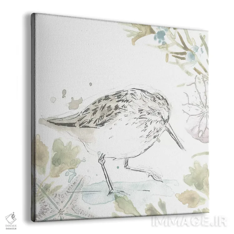 تابلو دکوراتیو مرغ های ساحلی سه اثر جون اریکا وس - نمای پرسپکتیو محصول