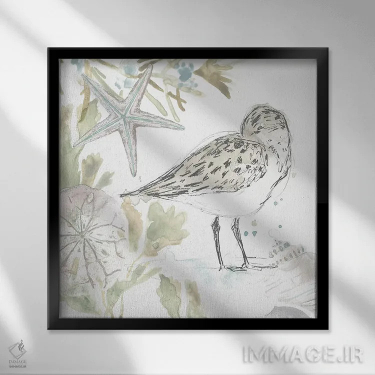 تابلو دکوراتیو مرغ های ساحلی یک اثر جون اریکا وس - نمای قابدار مشکی