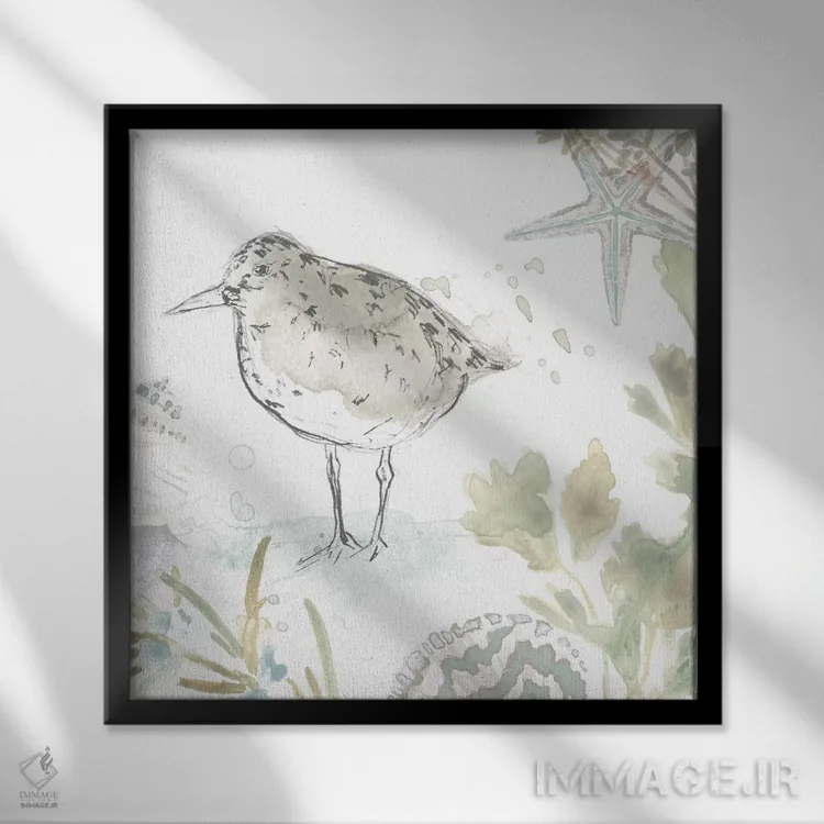 تابلو دکوراتیو مرغ های ساحلی چهار اثر جون اریکا وس - نمای قابدار مشکی