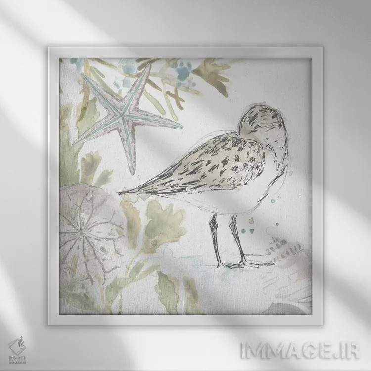 تابلو دکوراتیو مرغ های ساحلی یک اثر جون اریکا وس - نمای قابدار سفید