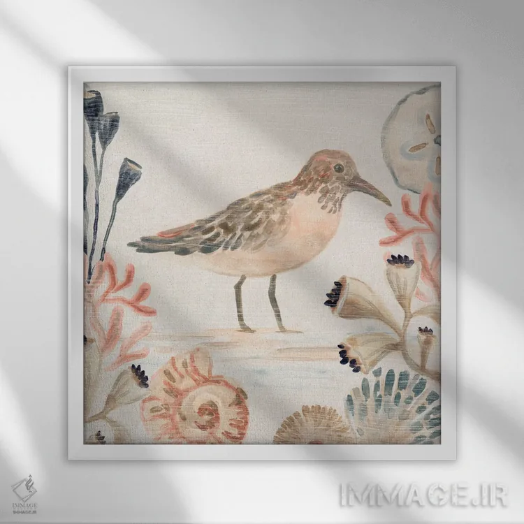 تابلو مینیمال صدف نوازان ۳ اثر جون اریکا وس - نمای قابدار سفید