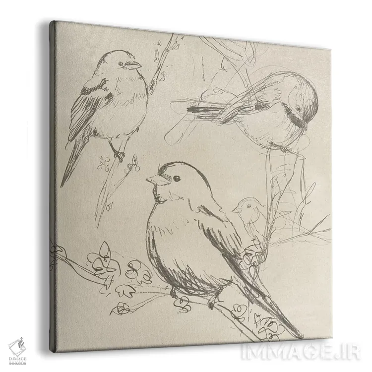 تابلو مدرن طرح پرنده آوازخوان قدیمی دوم اثر جون اریکا وس - نمای پرسپکتیو محصول