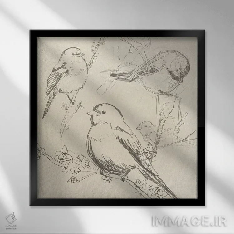 تابلو مدرن طرح پرنده آوازخوان قدیمی دوم اثر جون اریکا وس - نمای قابدار مشکی