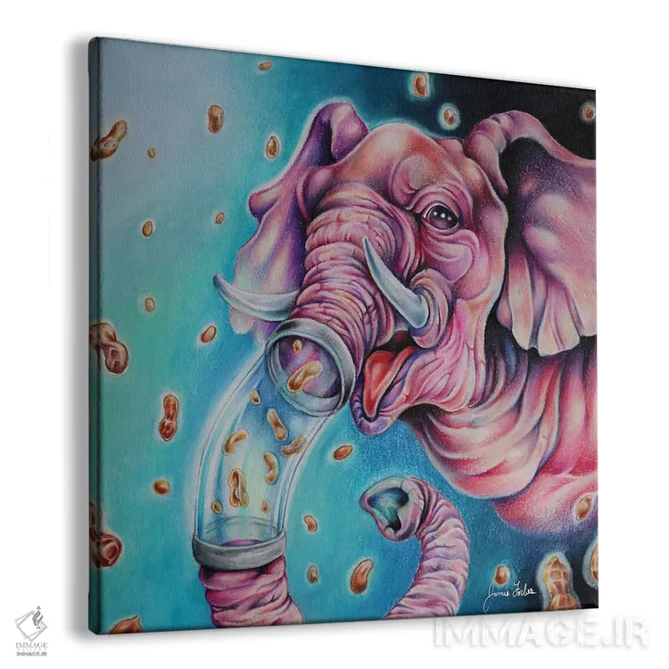 تابلو دکوراتیو فیل صورتی اثر جیمی فوربز - نمای پرسپکتیو محصول