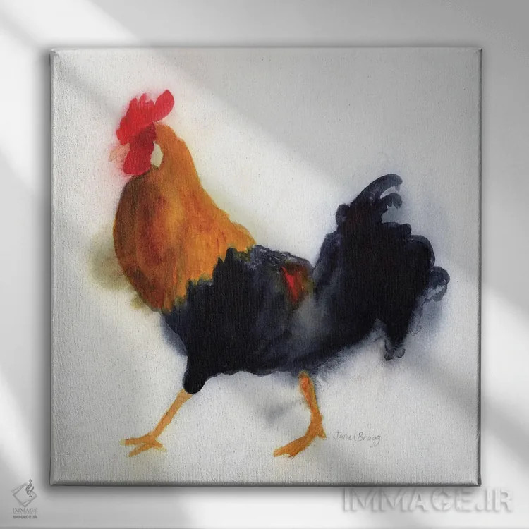 تابلو دکوراتیو خروس در پارک لیدگیت، کائوآئی اثر جنل براگ - نمای روبهرو روی دیوار