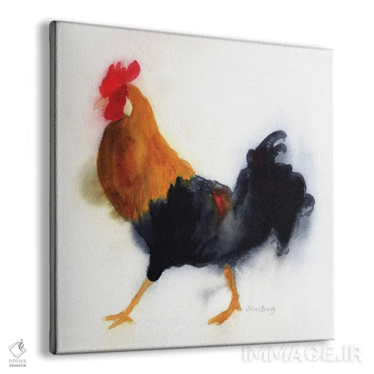 تابلو دکوراتیو خروس در پارک لیدگیت، کائوآئی اثر جنل براگ - نمای پرسپکتیو محصول