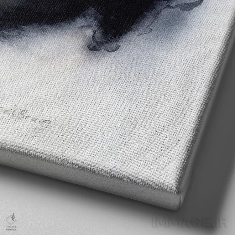 تابلو دکوراتیو خروس در پارک لیدگیت، کائوآئی اثر جنل براگ - نمای نزدیک بافت بوم