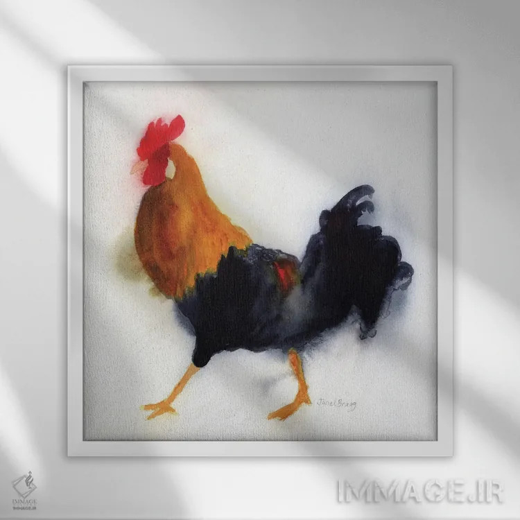 تابلو دکوراتیو خروس در پارک لیدگیت، کائوآئی اثر جنل براگ - نمای قابدار سفید