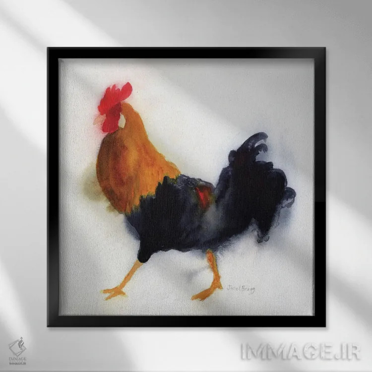 تابلو دکوراتیو خروس در پارک لیدگیت، کائوآئی اثر جنل براگ - نمای قابدار مشکی