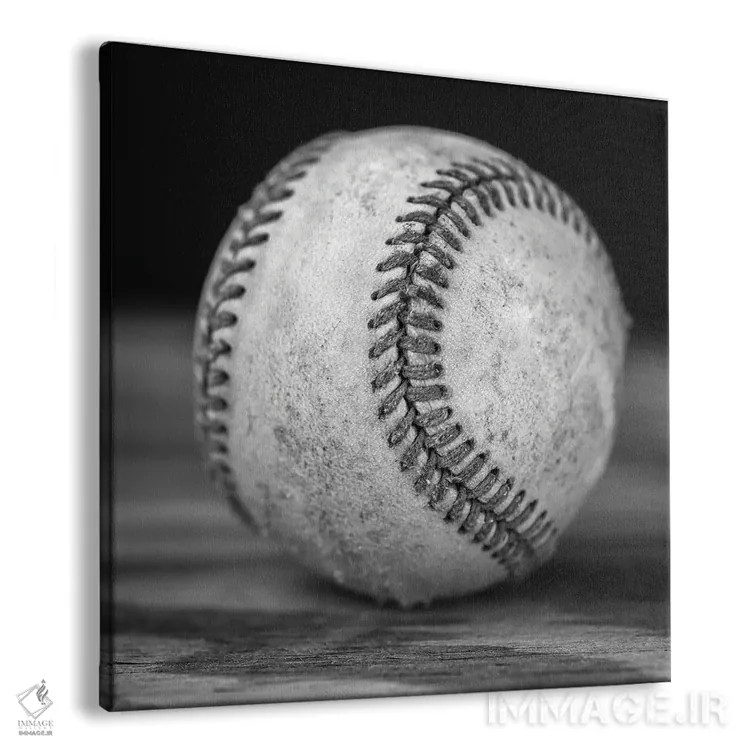 تابلو دکوراتیو مرا به مسابقه بیسبال ببر اثر جوزف اس. جیاکالونه - نمای پرسپکتیو محصول
