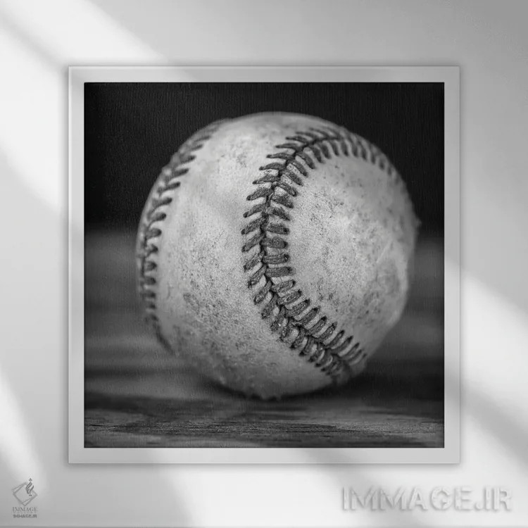 تابلو دکوراتیو مرا به مسابقه بیسبال ببر اثر جوزف اس. جیاکالونه - نمای قابدار سفید