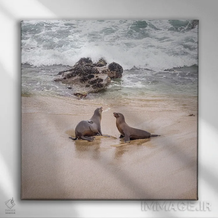 تابلو دکوراتیو دیدار صبحگاهی دو دوست در لاخویا کالیفرنیا اثر جوزف اس. جیاکالونه - نمای روبهرو روی دیوار