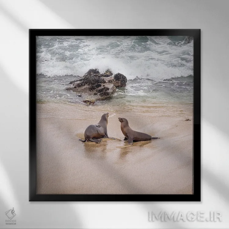 تابلو دکوراتیو دیدار صبحگاهی دو دوست در لاخویا کالیفرنیا اثر جوزف اس. جیاکالونه - نمای قابدار مشکی